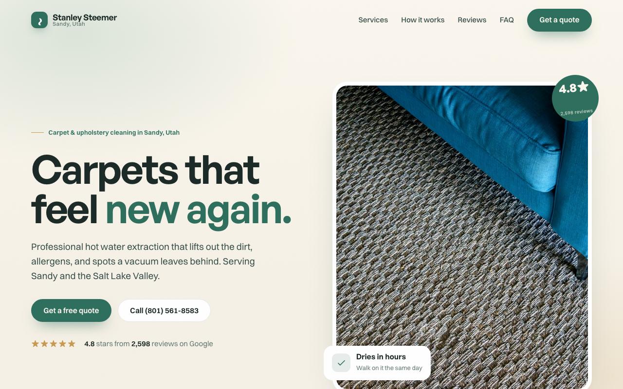 Stanley Steemer website design